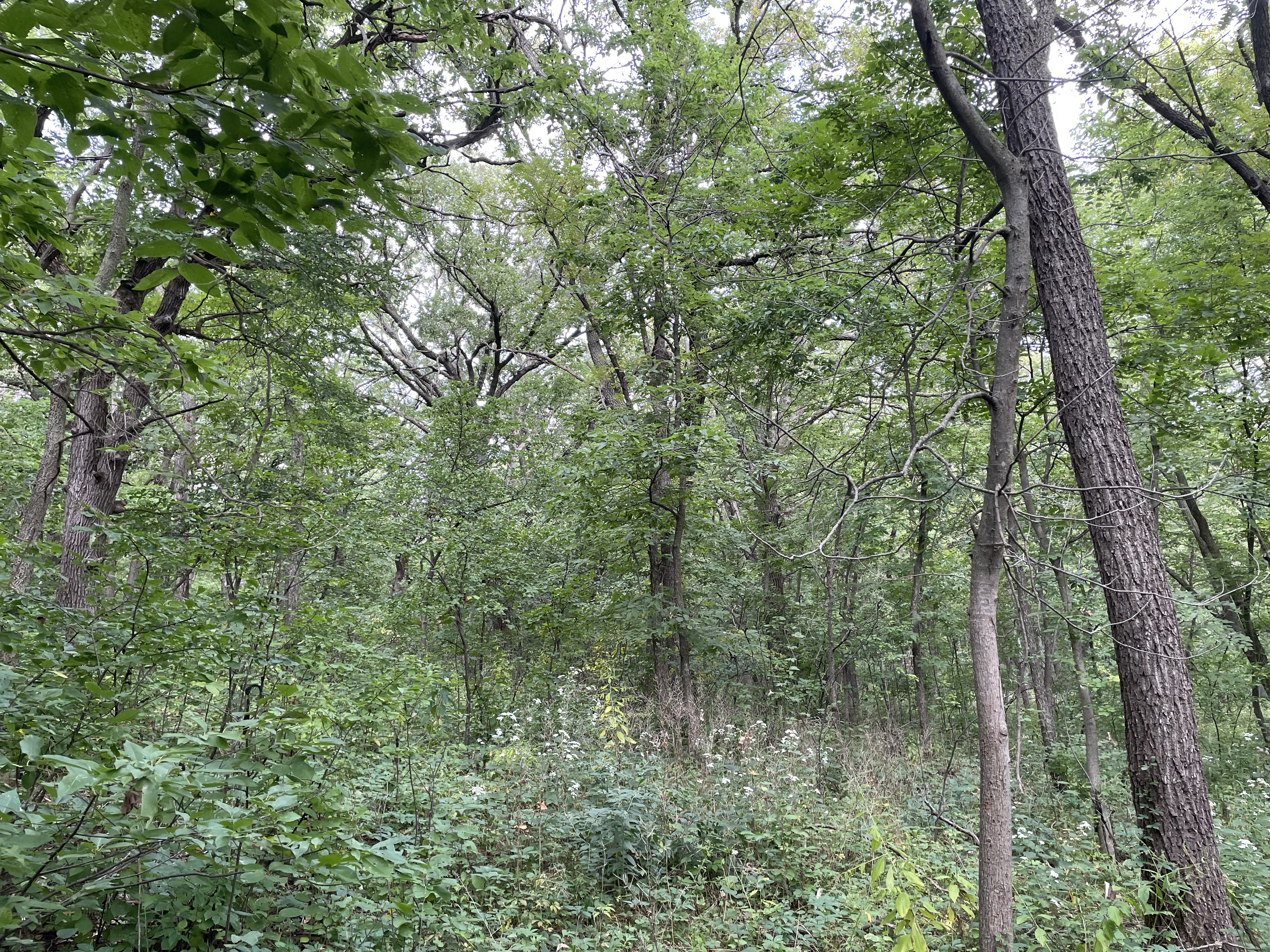 Welcome to Integral Acres