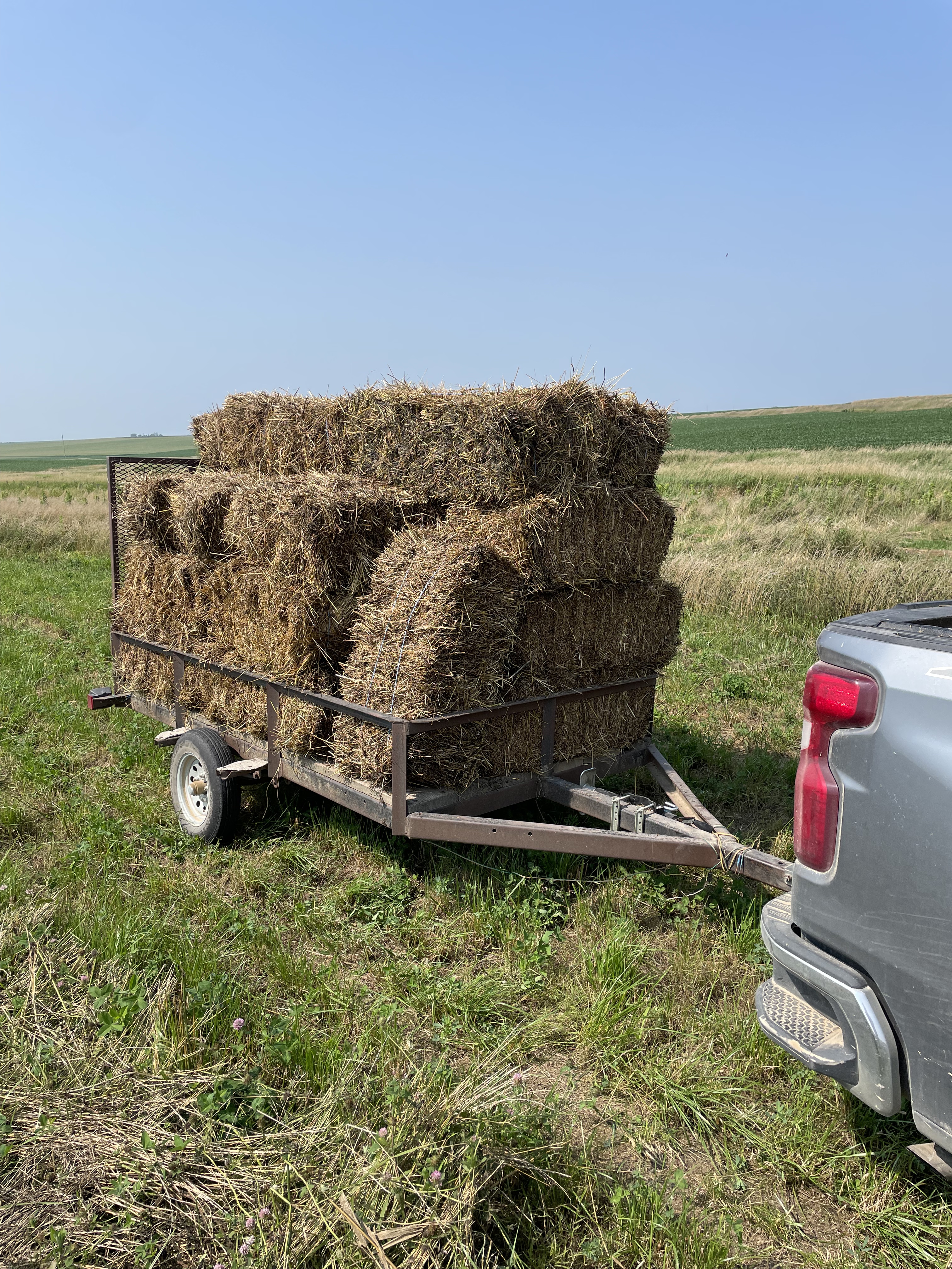 2024 planting season